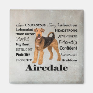 Airedale Magnet