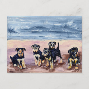 Airedale Puppies Postcard