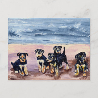 Airedale Puppies Postcard