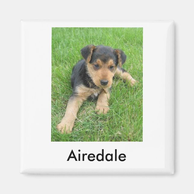 Airedale Puppy Magnet (Front)