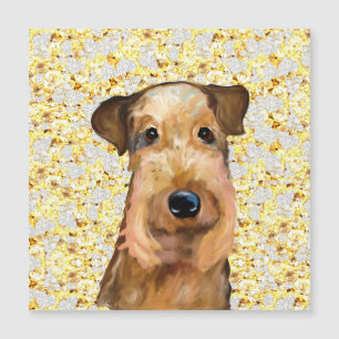  AIREDALE TERRIER          
