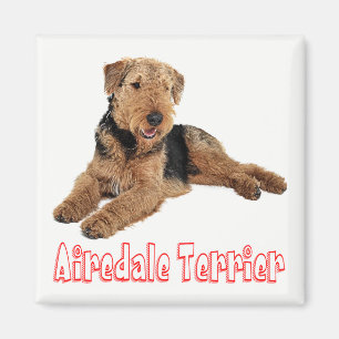 Airedale Terrier Brown & Black Puppy Dog Red Love Magnet
