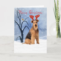 airedale terrier christmas card - airedale has rei