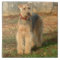 Airedale Terrier Dog Photo Tile