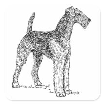 Airedale Terrier Elegant Dog Drawing