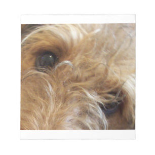 airedale terrier eyes notepad