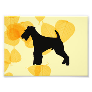 Airedale Terrier Gold Leaves Photo Print