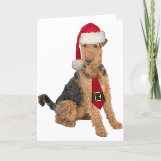 Airedale Terrier In Santa Hat Holiday Card