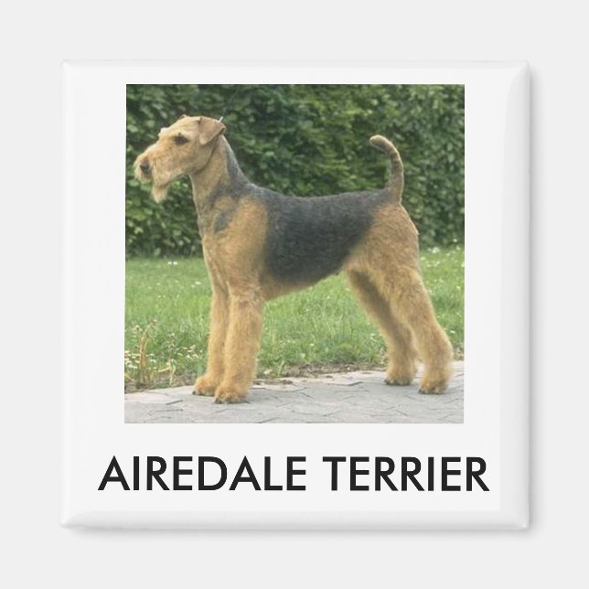 Airedale Terrier Magnet (Front)