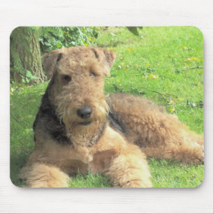 Airedale Terrier Mouse Pad