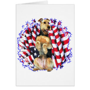 Airedale Terrier Patriot