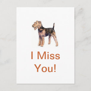 Airedale Terrier Postcard
