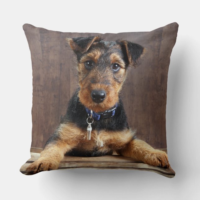 Airedale terrier puppy cushion (Front)