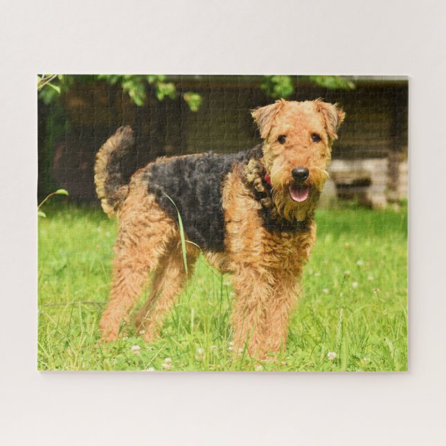 Airedale Terrier Puppy Dog Jigsaw Puzzle (Horizontal)