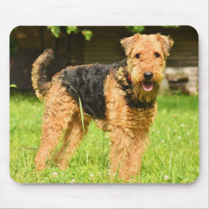Airedale Terrier Puppy Dog Mouse Pad