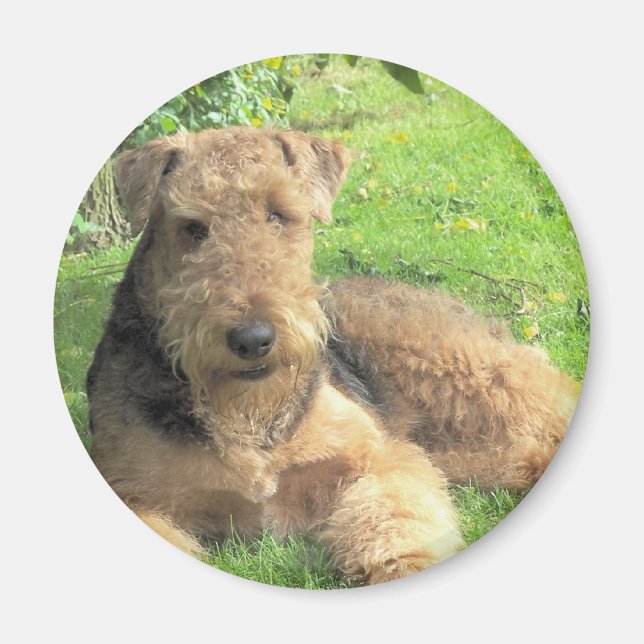 Airedale Terrier Round Magnet (Front)