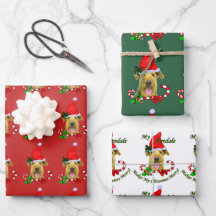 Airedale Terrier Santa Hat Christmas