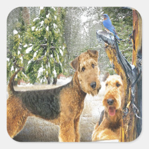 Airedale Terrier Winter Day gifts Square Sticker