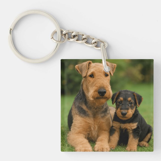 Airedale Terrier With Puppy Key Ring (Front)