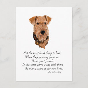 Airedale, Welsh, Lakeland Terrier Keepsake Postcard
