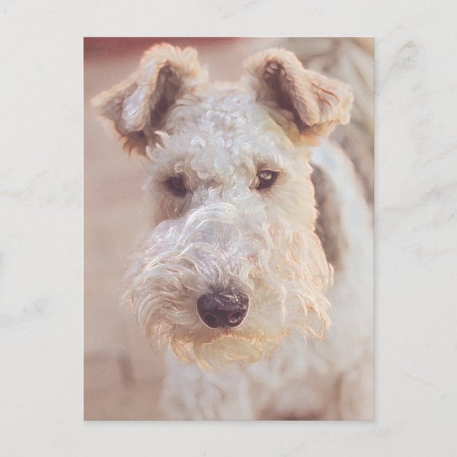 Airedale Welsh Terrier Type Dog Puppy Head Postcard (Front)