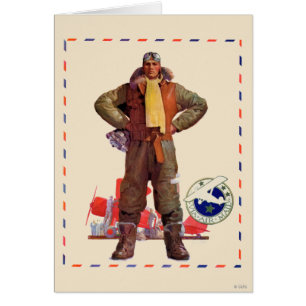 Airmail Pilot