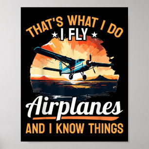 Airplane Aircraft Lot - That's What I Do I Fly Air Poster