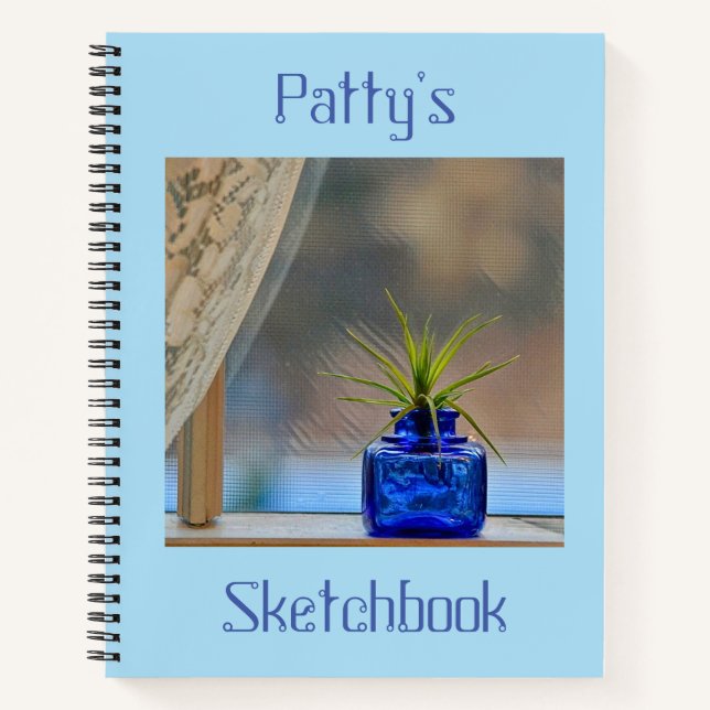 Airplant In Window Sketchbook Notebook (Front)