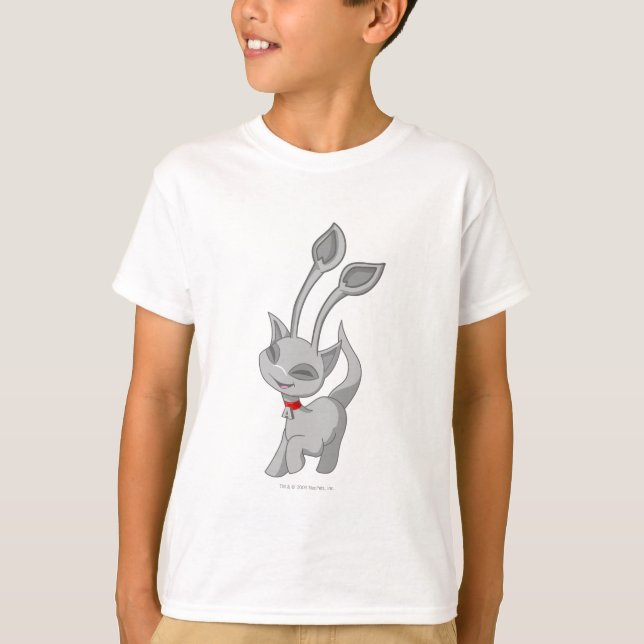 Aisha Silver T-Shirt (Front)