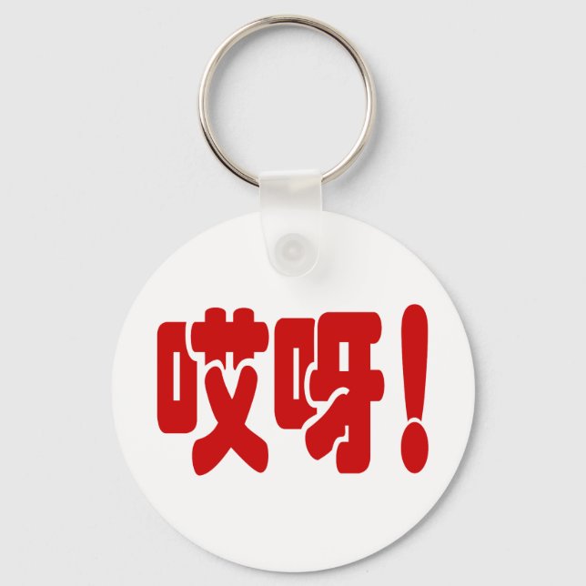 Aiya! 哎呀! OMG! Chinese Hanzi Language Key Ring (Front)