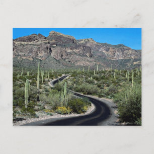 Ajo Mountains, Organ Pipe Cactus National Monument Postcard