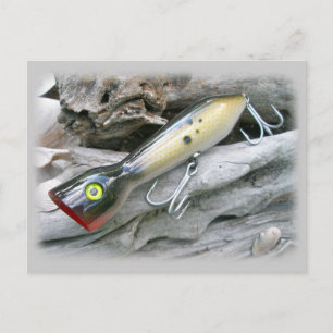 AJS Saltwater Lure Popper Coordinating Items Postcard