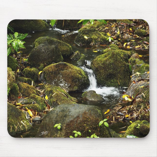 Akaka Fall smaller trail stream 2 Mouse Pad (Front)