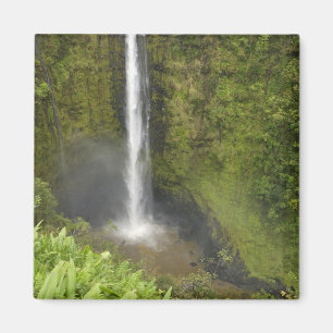 Akaka Falls, Hamakua Coast, Island of Hawaii, Magnet