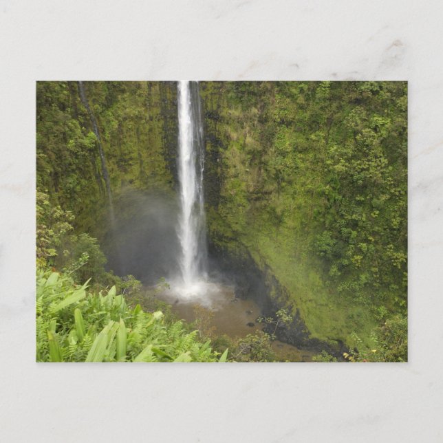 Akaka Falls, Hamakua Coast, Island of Hawaii, Postcard (Front)