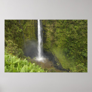 Akaka Falls, Hamakua Coast, Island of Hawaii, Poster
