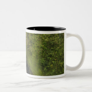 Akaka Falls, Hamakua Coast, Island of Hawaii, Two-Tone Coffee Mug