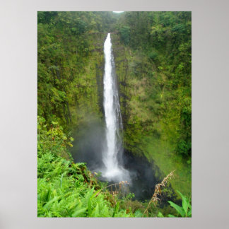 Akaka Falls, Hawaii Poster