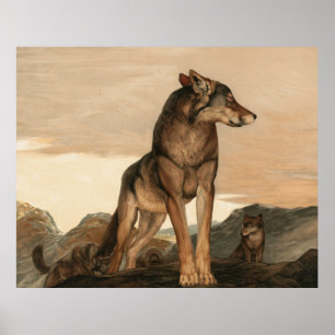 Akela The Lone Wolf by Maurice And Edward Detmold Poster