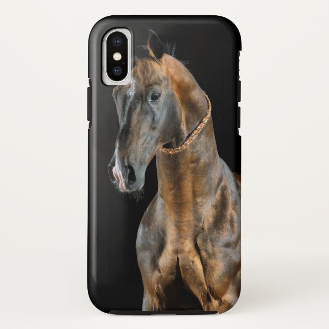 Akhal-Teke Horse Case-Mate iPhone Case (Back)