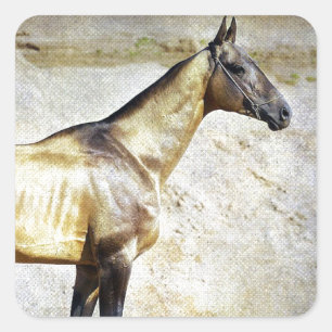 Akhal-teke Square Sticker