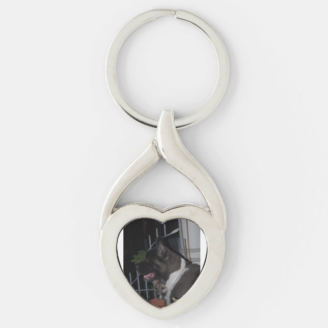 akita 2 key ring (Front)