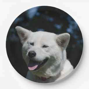 akita 4 paper plate