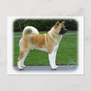 Akita 9T031D-052 Postcard
