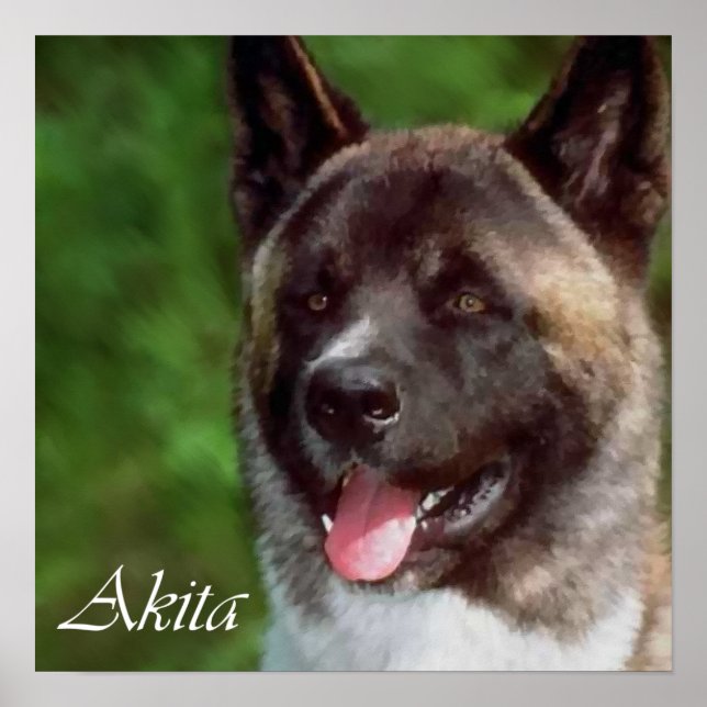 Akita Art Print Gifts (Front)
