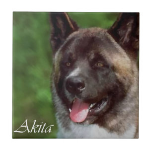 Akita Art Tile