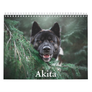 Akita Calendar