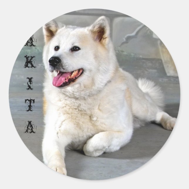 Akita Classic Round Sticker (Front)