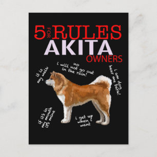 Akita Dog   5 Rules Akita Dog Owner Announcement Postcard