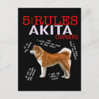Akita Dog | 5 Rules Akita Dog Owner